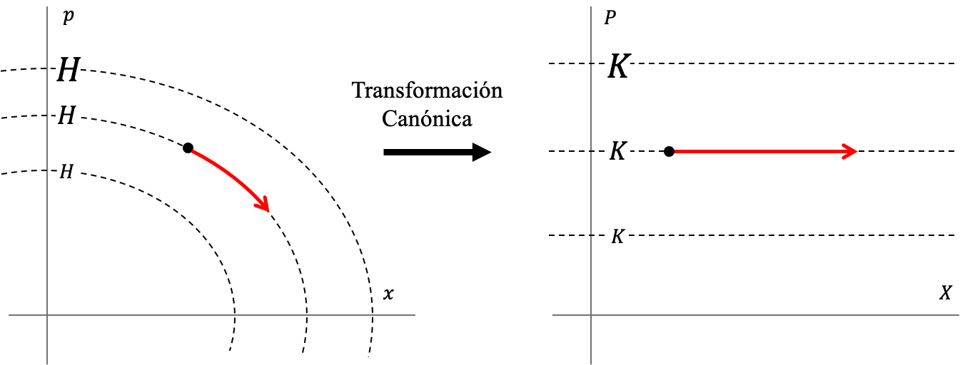 Ilustración del efecto en el espacio de fase y en la descripción de la dinámica de un sistema dinámico de una transformación canónica.  En este caso se ilustra el oscilador armónico simple cuyo espacio de fase es tradicionalmente el de la izquierda, y el mismo sistema después de una transformación canónica convenientemente escogida (panel de la derecha).