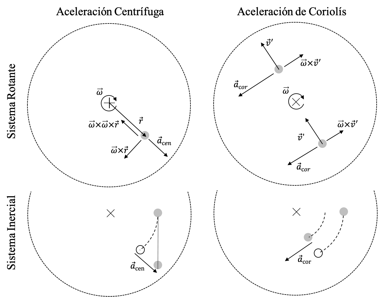 Explicación esquemática del origen y dirección de las aceleraciones centrífuga y de Coriolís.